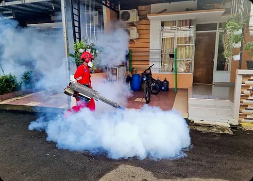 Pest Control